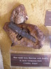 Cretaceous_hammer_Baugh_museum_2011.JPG