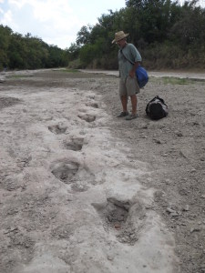 Glen Kuban and dinosaur trackways