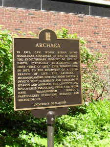 Honoring the Archaea